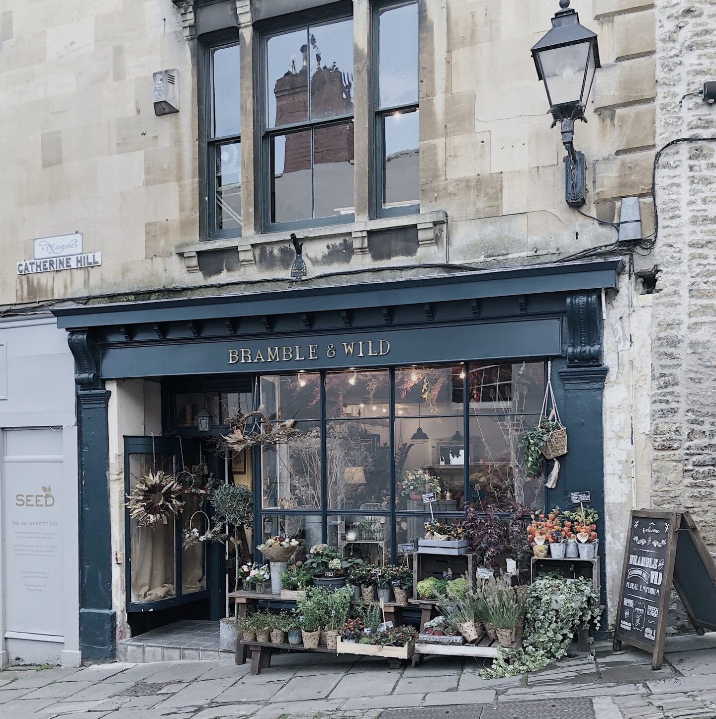 Facade and plants of Bramble & Wild shop in Frome