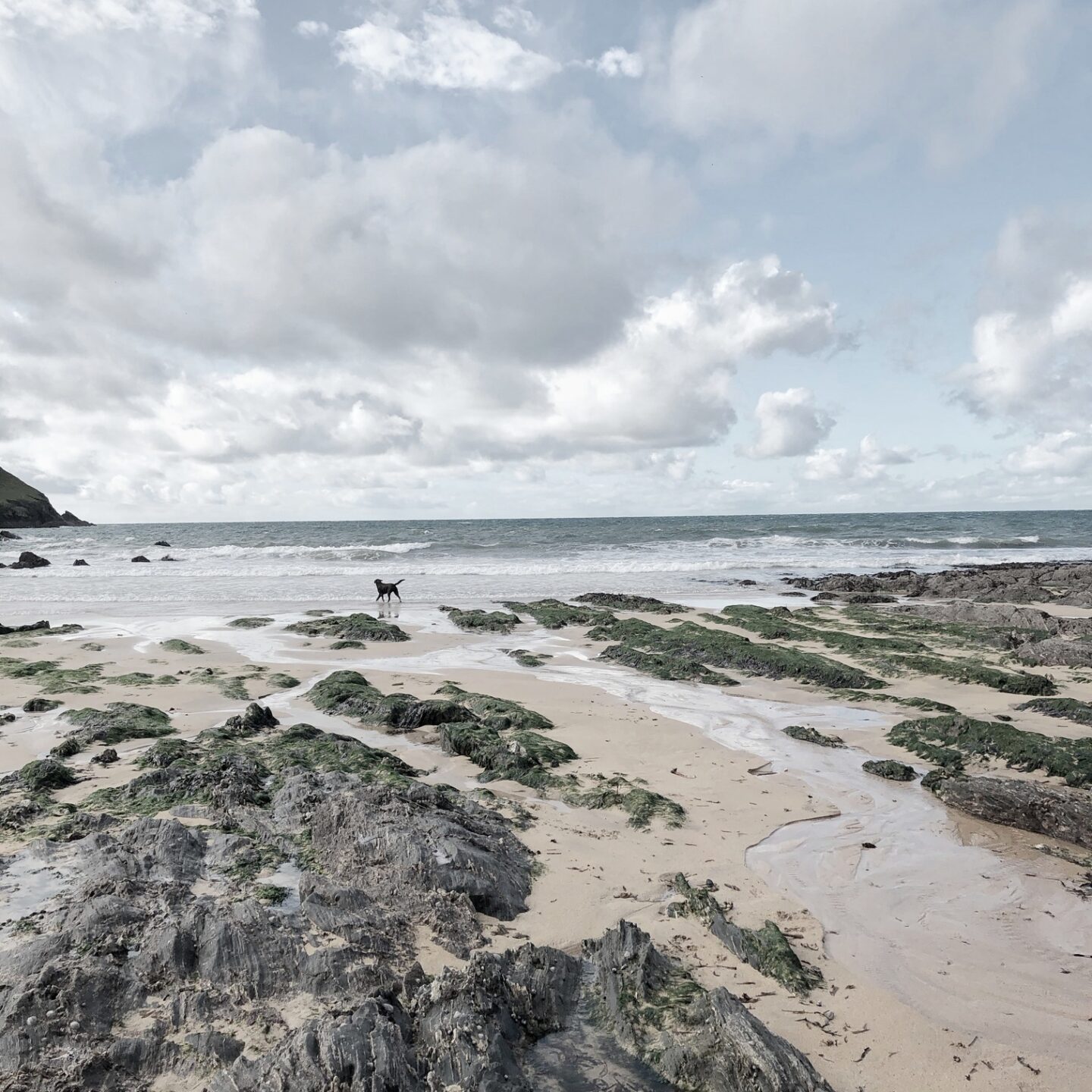 Rocks across a sandy beach in Devon