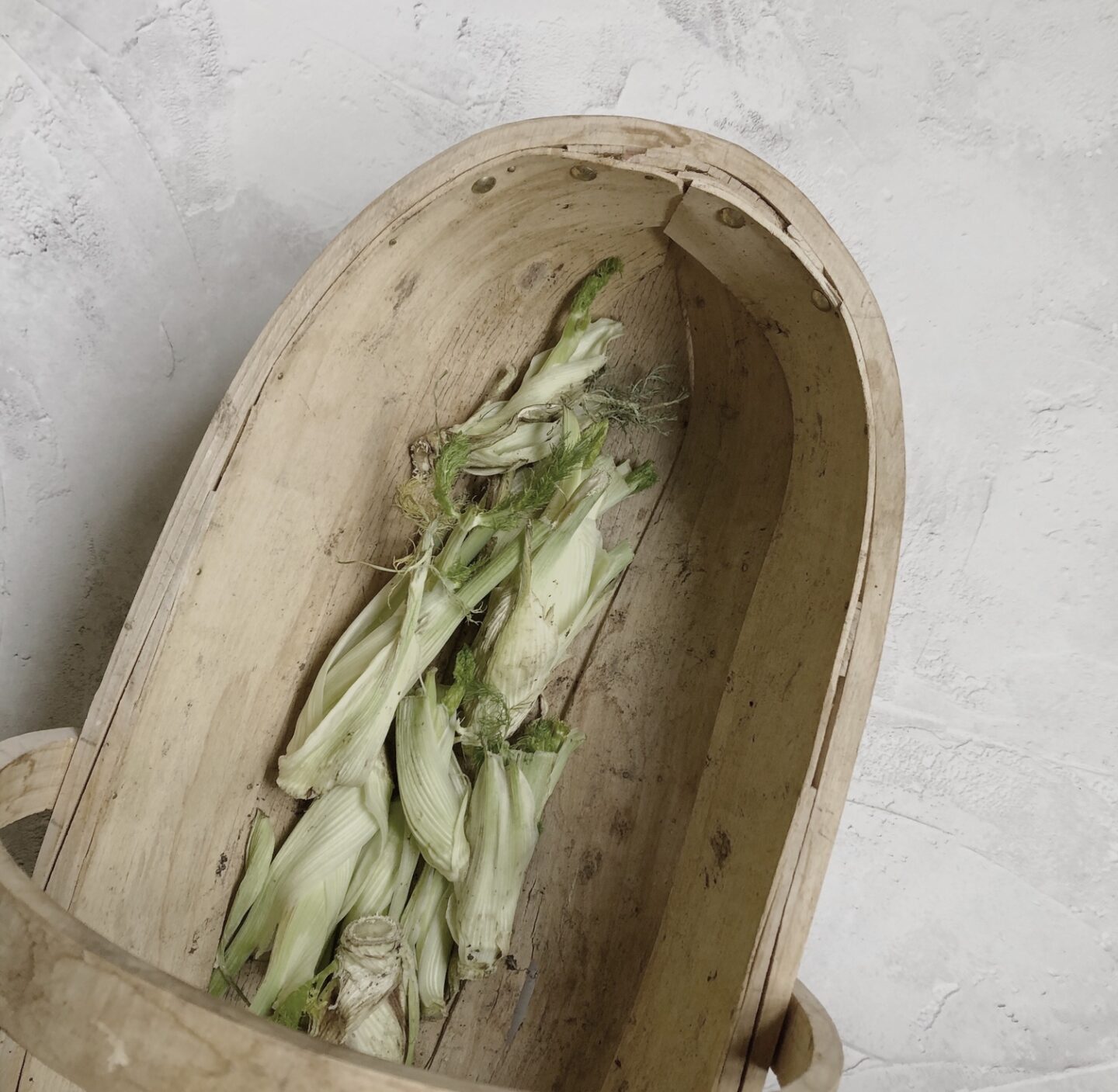 Wooden garden trug with fennel inside