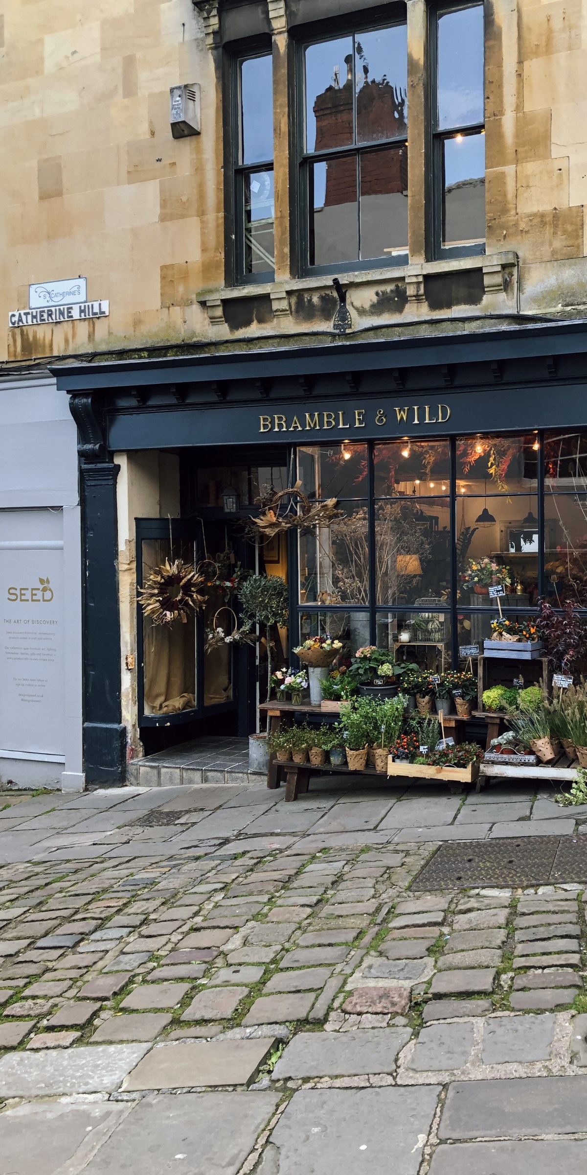 Bramble & Wild in Frome exterior