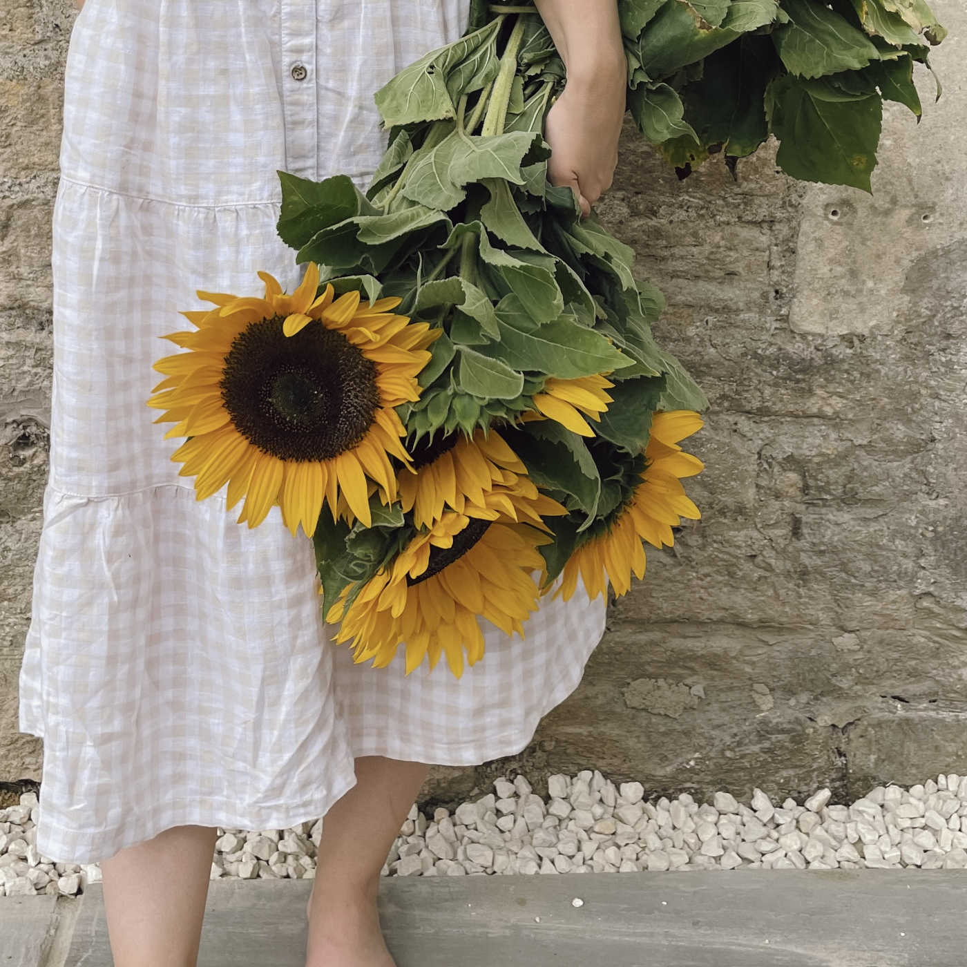 Holding sunflowers against stone wall