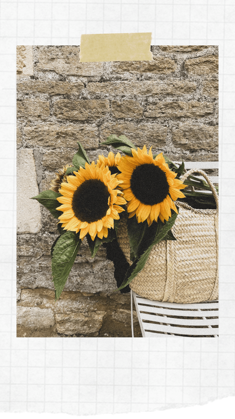 Sunflowers in a basket bag against stone wall