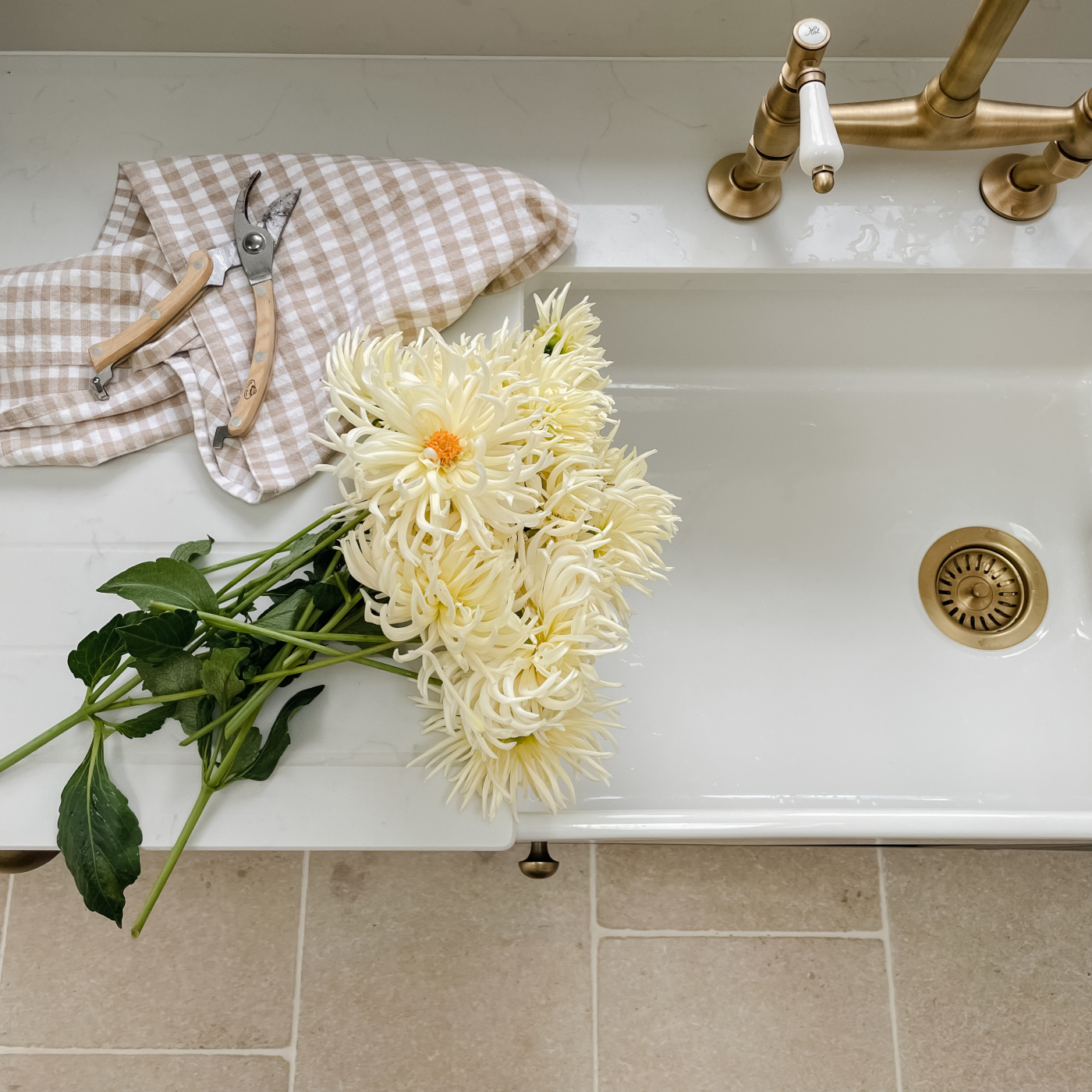 Cut cream dahlias on kitchen worktop