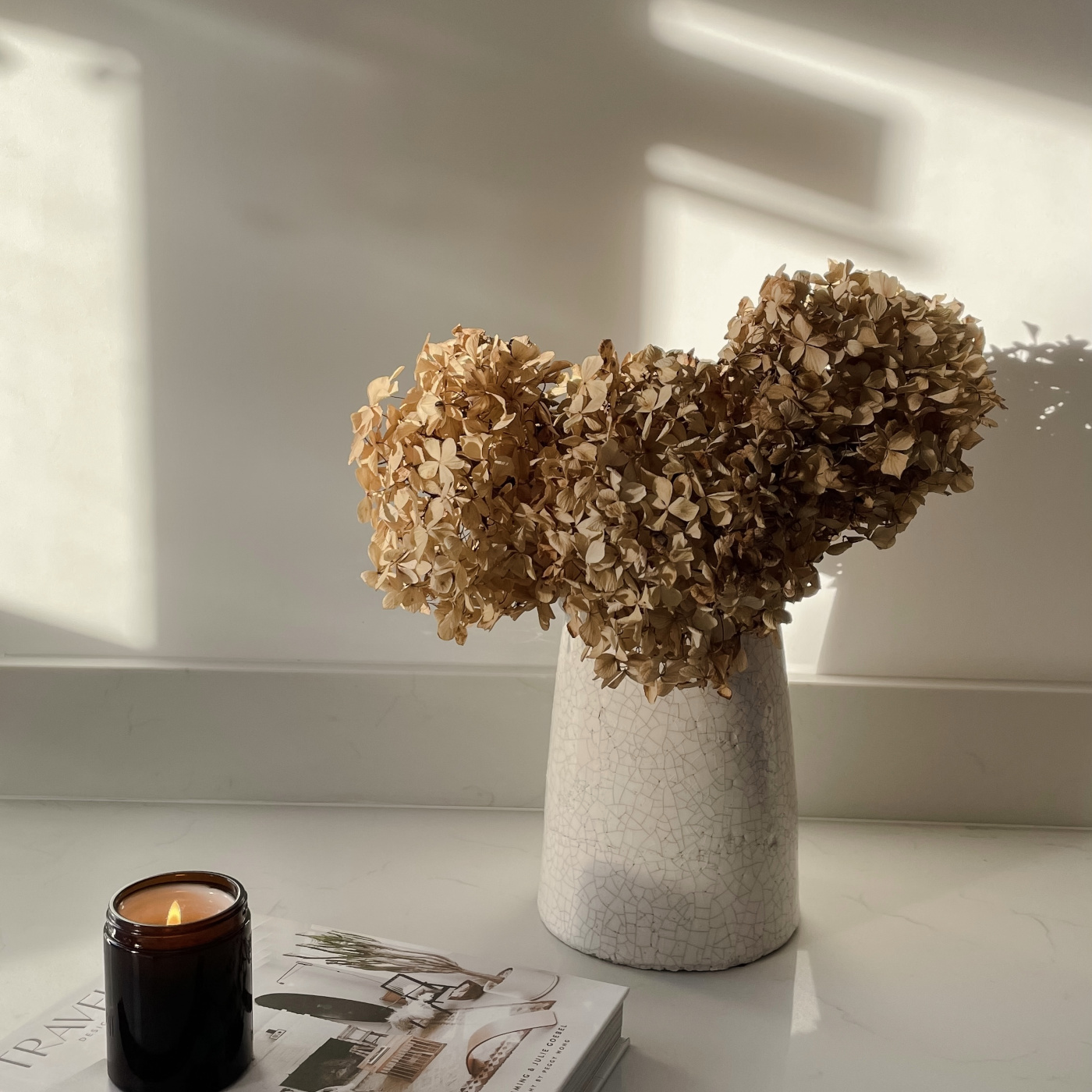 Dried hydrangeas