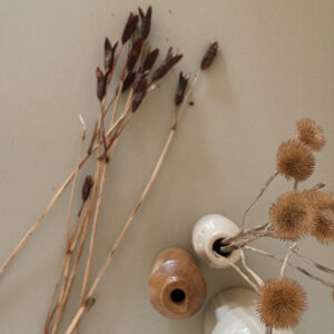 Dried seed heads