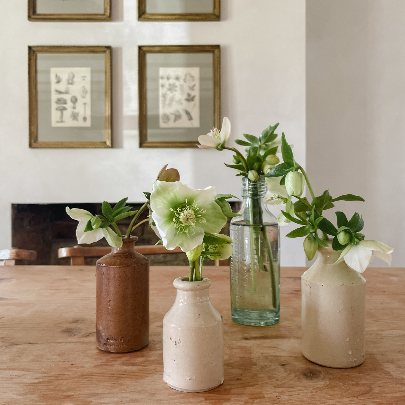 Hellebores in vintage jars