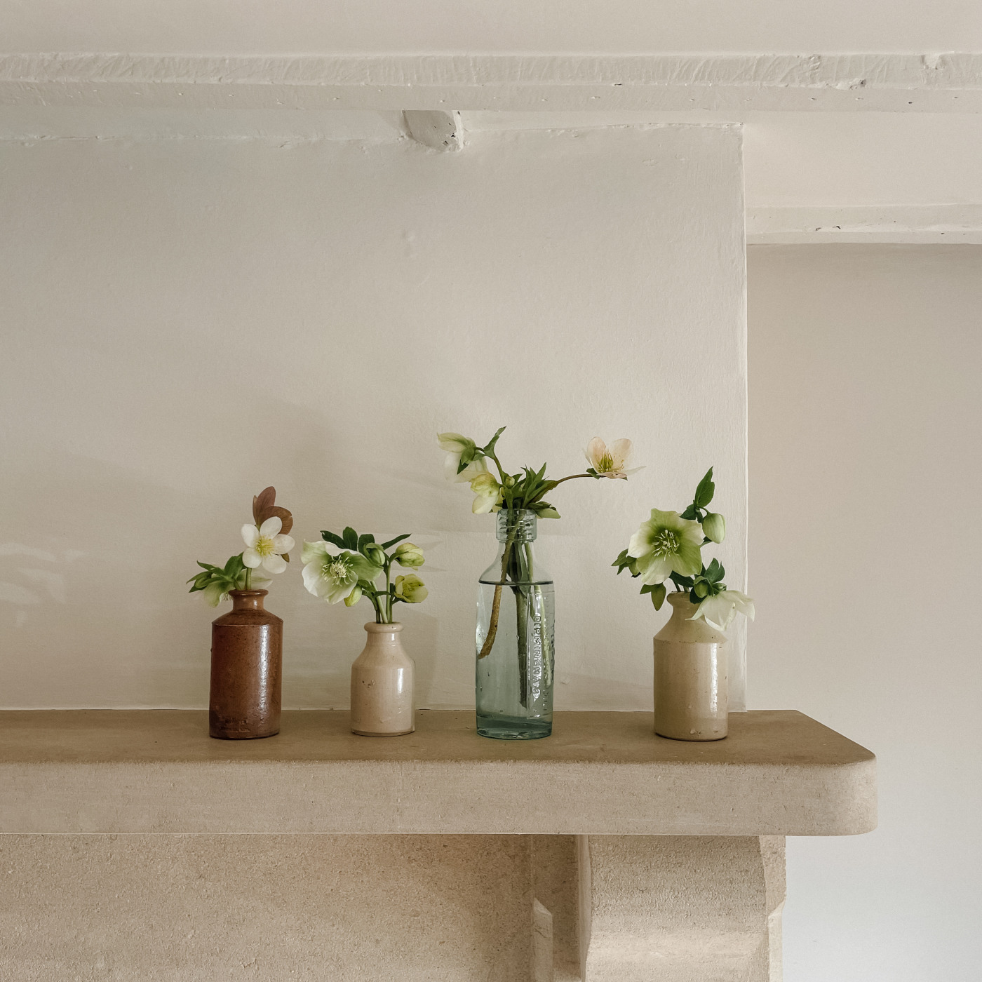 Hellebores in vintage jars on mantelpiece