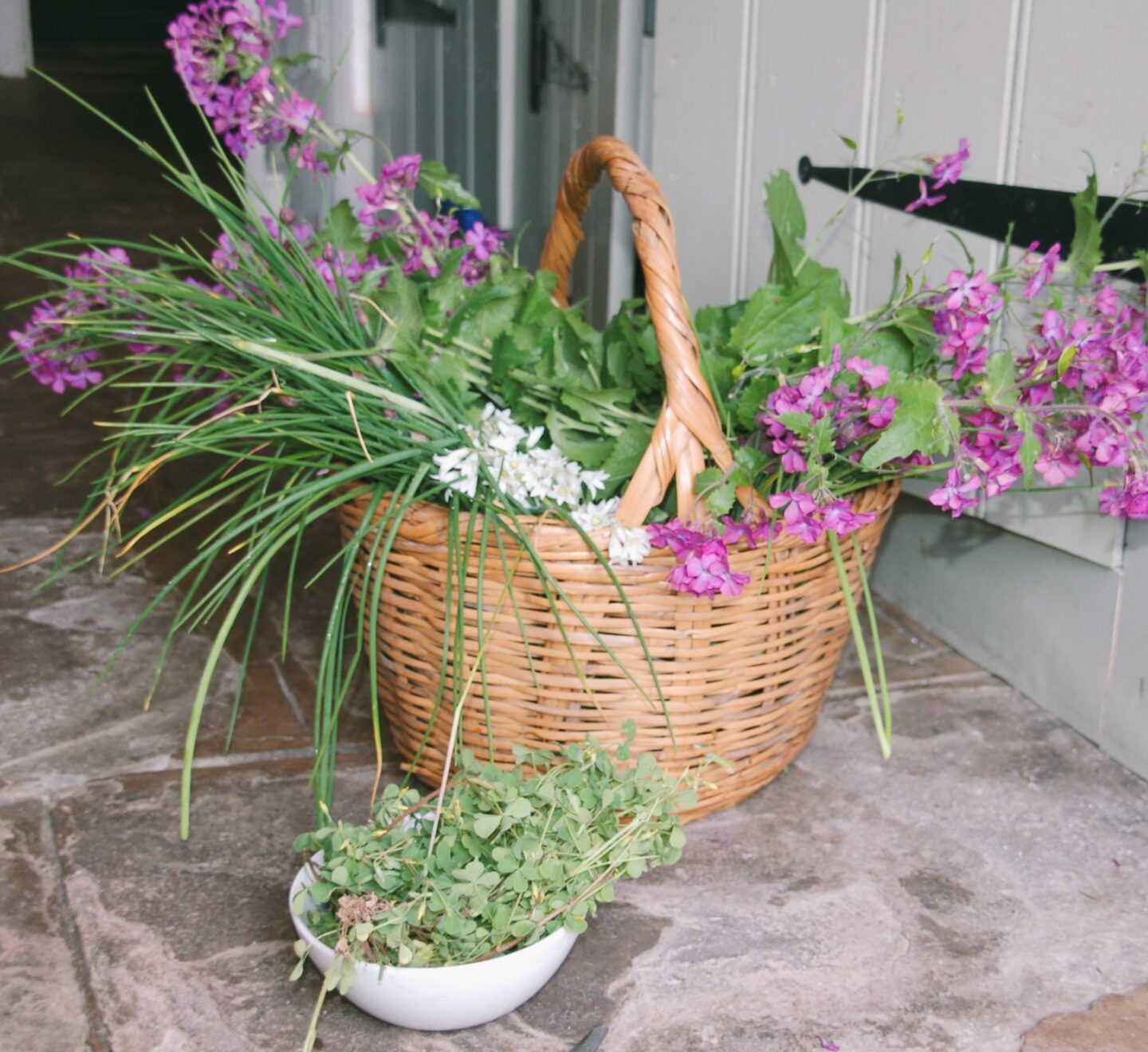 Basket of foraged plants