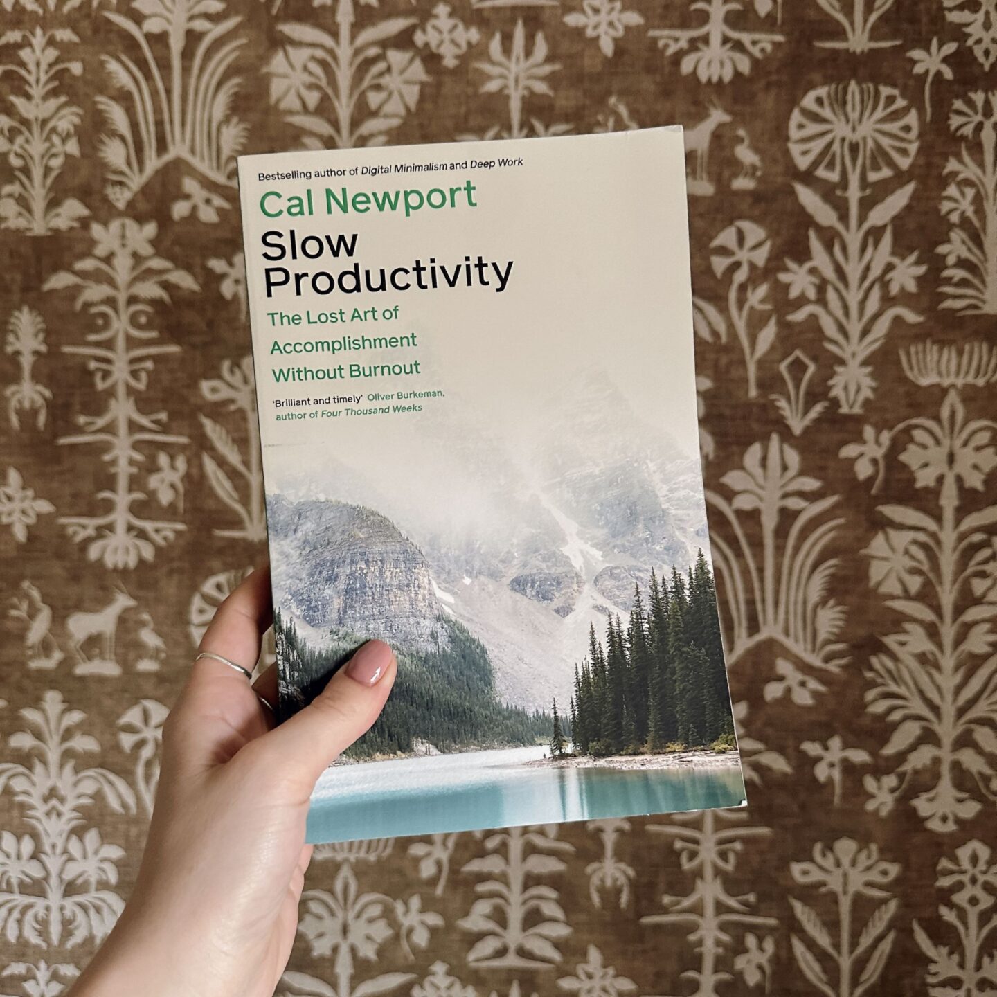 Slow Productivity Cal Newport book